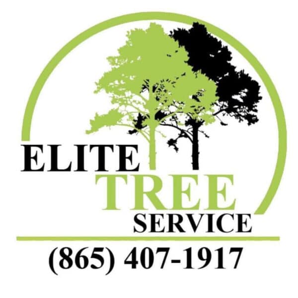 elite tree service